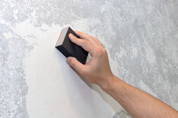 Best Indoor Air Quality Assessment  in Bellingham, WA