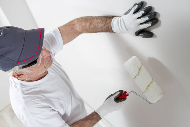 Best Real Estate Mold Inspection  in Bellingham, WA