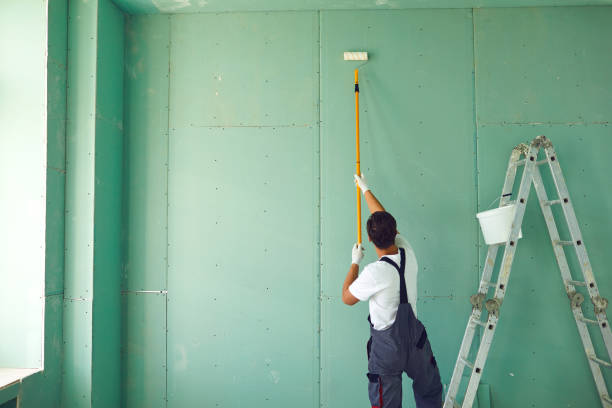 Best Mold Odor Removal Services  in Bellingham, WA