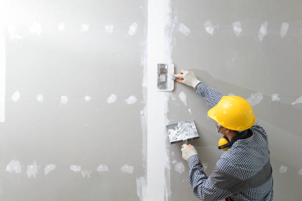 Best Mold Prevention Services  in Bellingham, WA