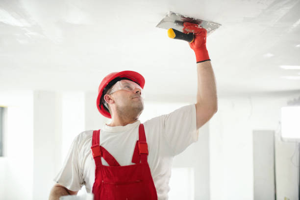 Reliable Bellingham, WA Mold Removal Solutions