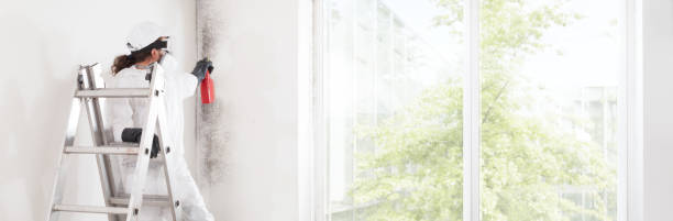 Best HVAC Mold Inspection and Cleaning  in Bellingham, WA
